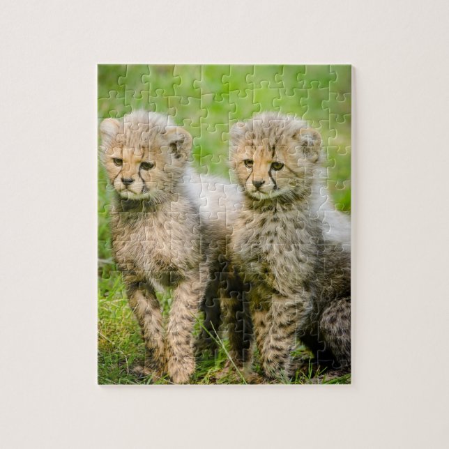 Puzzle Cheetahs de bebé gemelo (Vertical)
