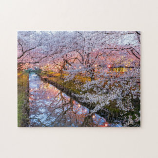 Puzzle Cherry blossom canal
