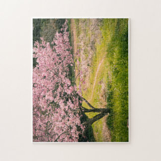 Puzzle Cherry blossoms blooming in the rural hill