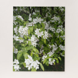 Puzzle Cherry Blossoms in the Shade and in the Light