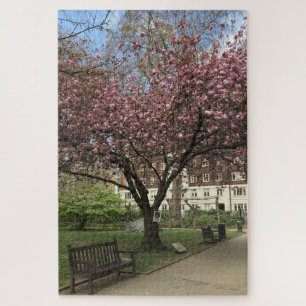 Puzzle Cherry Peace Tree Tavistock Square London Reino Un