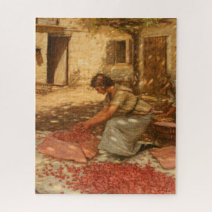 Puzzle Chica Packing Cherries en Provenza (Francia)