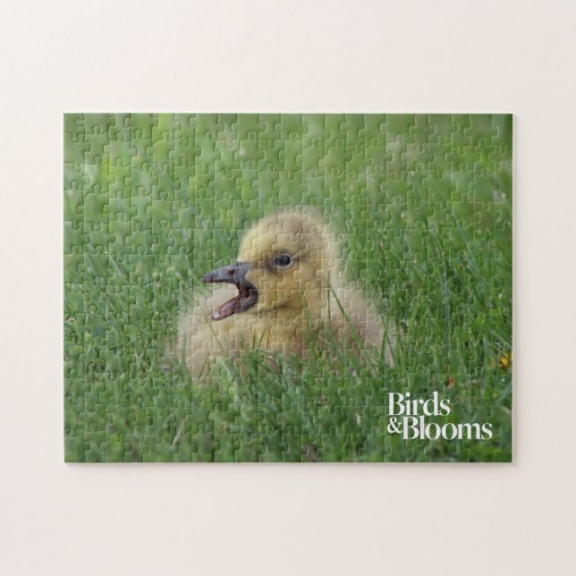 Puzzle Chick de ganso canadiense (Horizontal)