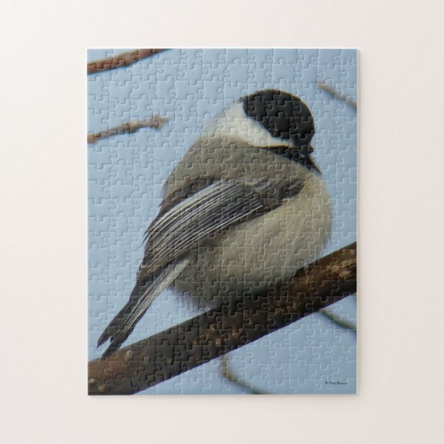 Puzzle Chickadee capsulado negro B21 (Vertical)