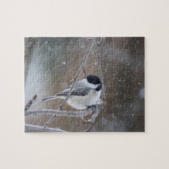 Puzzle Chickadee con gorra negra - Songbird (Horizontal)