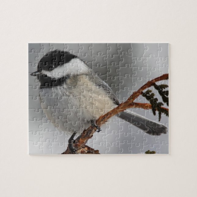 Puzzle Chickadee de Maine (Horizontal)