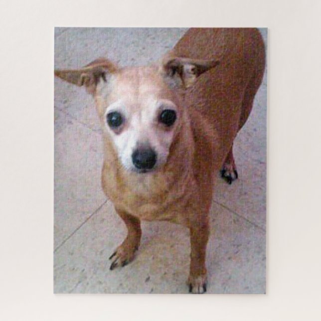 Puzzle Chico Chiwawa (Vertical)