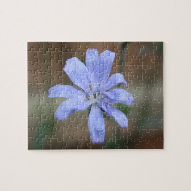 Puzzle Chicory (Horizontal)