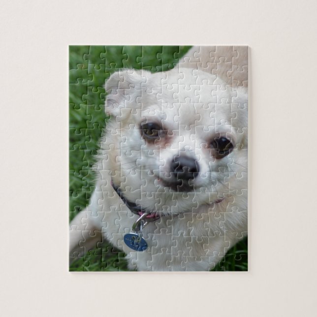 Puzzle Chihuahua (Vertical)