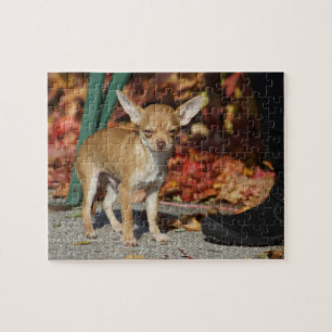 Puzzle Chihuahua