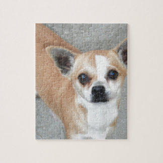 PUZZLE CHIHUAHUA