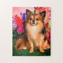 Chihuahua linda en medio de las flores de la