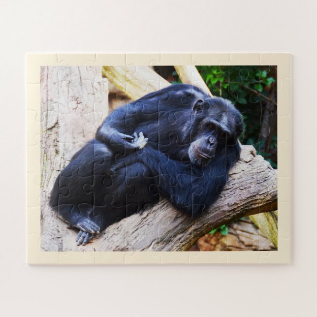 Puzzle Chimpancé (Horizontal)