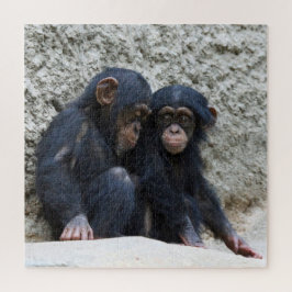 Puzzle Chimpancé 2020-03-01