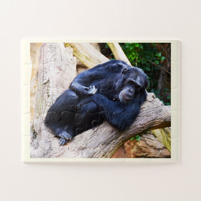 Puzzle Chimpanzee (Horizontal)