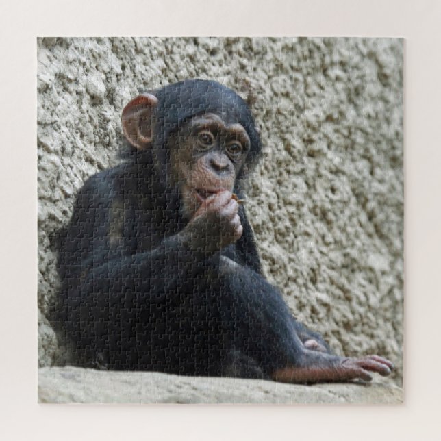 Puzzle Chimpanzee 013 (Vertical)