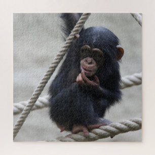 Puzzle Chimpanzee 030