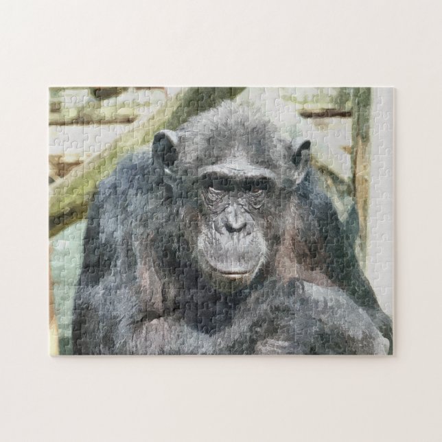 PUZZLE CHIMPANZEES (Horizontal)