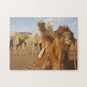 Puzzle China, Mongolia Interior, Desierto de Badain Jaran