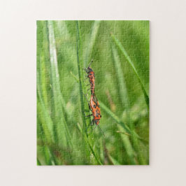 Puzzle Chinchetes de fuego en la naturaleza verde