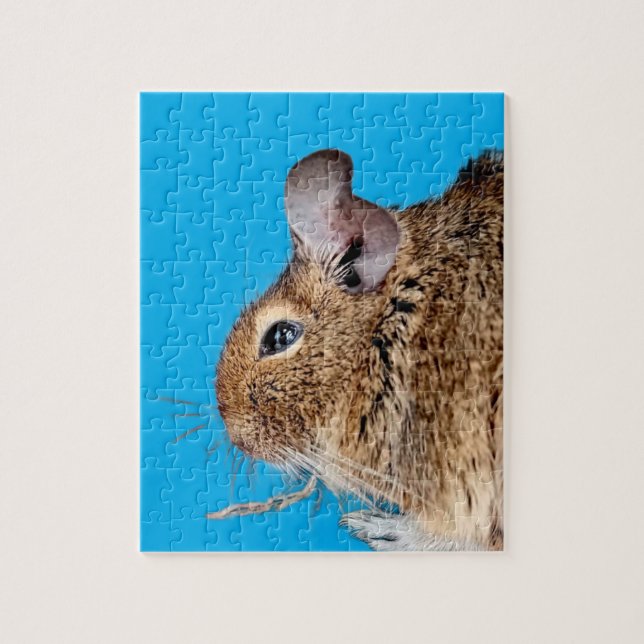 Puzzle Chinchilla (Vertical)