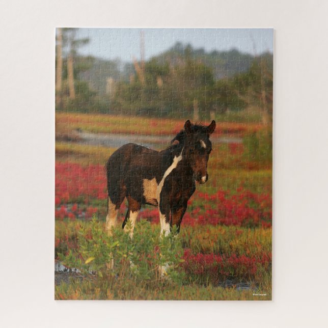 Puzzle Chincoteague Fotograma En Flores Rojas (Vertical)