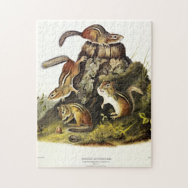 Puzzle Chip Squirrel ( Eastern Chipmunk ) por Audubon (Vertical)