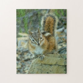 Puzzle Chipmunk en el Parque Nacional Glaciar