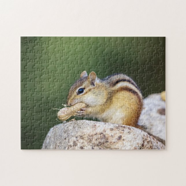 Puzzle Chipmunk en los Adirondacks (Horizontal)