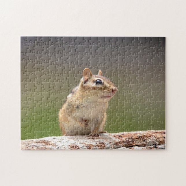 Puzzle Chipmunk en los Adirondacks (Horizontal)
