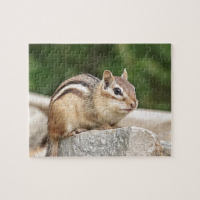 Puzzle Chipmunk en una roca (Horizontal)