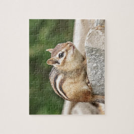 Puzzle Chipmunk en una roca