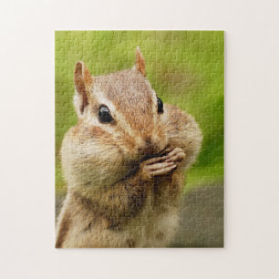 Puzzle Chipmunk fresco lindo