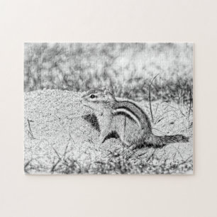 Puzzle Chipmunk Sketch
