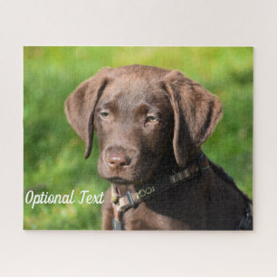 Puzzle Chocolate Lab Cachorro