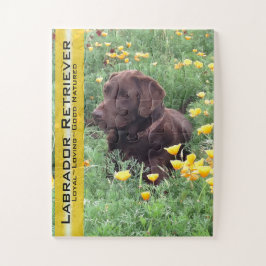 Puzzle Chocolate Lab en California Poppy Patch