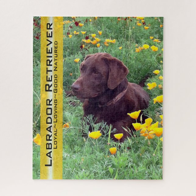 Puzzle Chocolate Lab en California Poppy Patch (Vertical)
