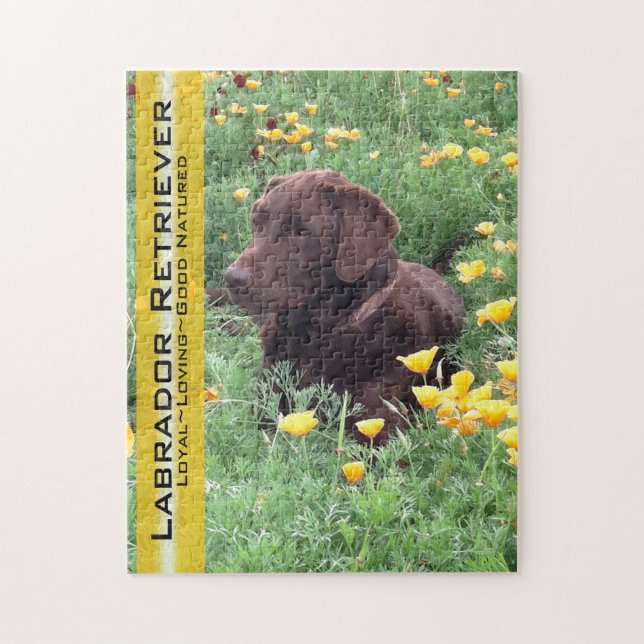 Puzzle Chocolate Lab en California Poppy Patch (Vertical)