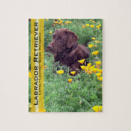 Puzzle Chocolate Lab en California Poppy Patch
