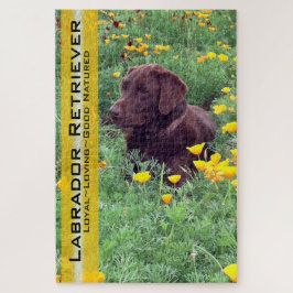 Puzzle Chocolate Lab en California Poppy Patch