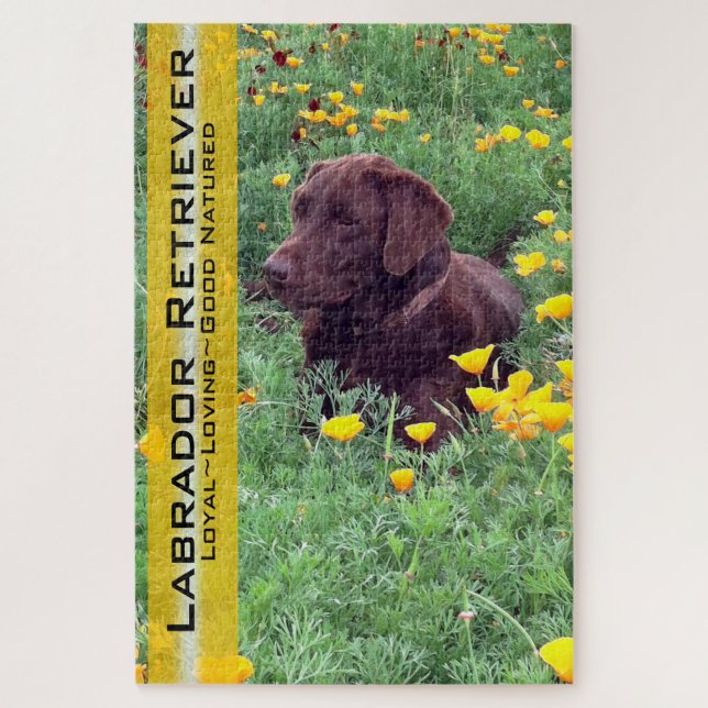 Puzzle Chocolate Lab en California Poppy Patch (Vertical)