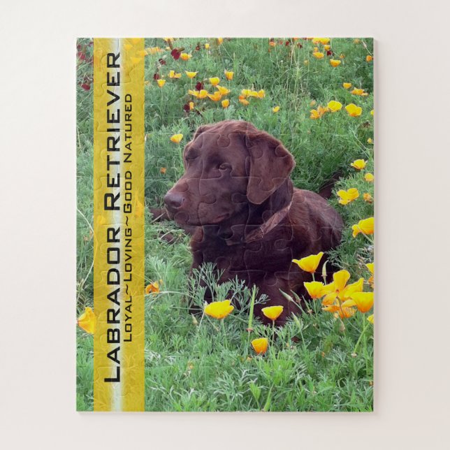 Puzzle Chocolate Lab en California Poppy Patch Personaliz (Vertical)
