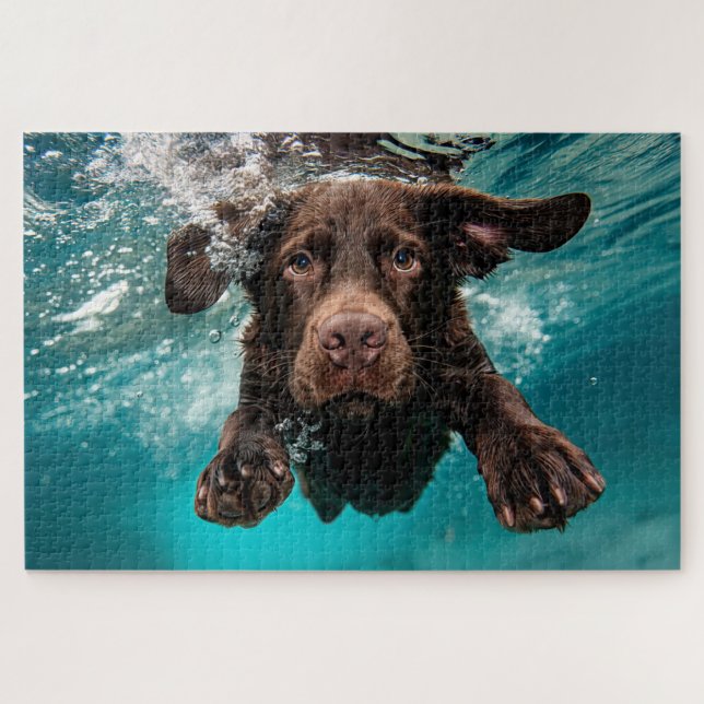 Puzzle Chocolate labrador juguetón nadando bajo el agua (Horizontal)