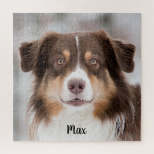 Puzzle Chocolate Pastor Australiano Perro Cachorro