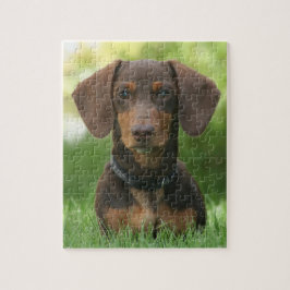 Puzzle Chocolate y Dachshund tostado