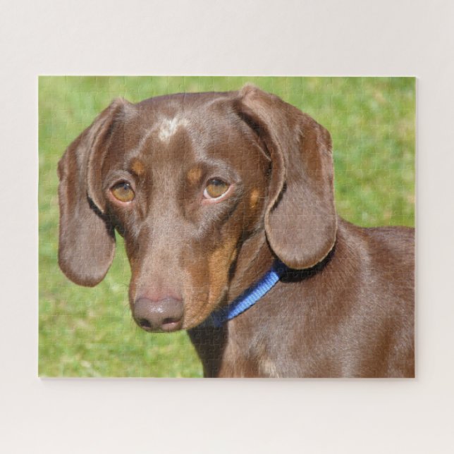 Puzzle Chocolate y Dachshund tostado (Horizontal)