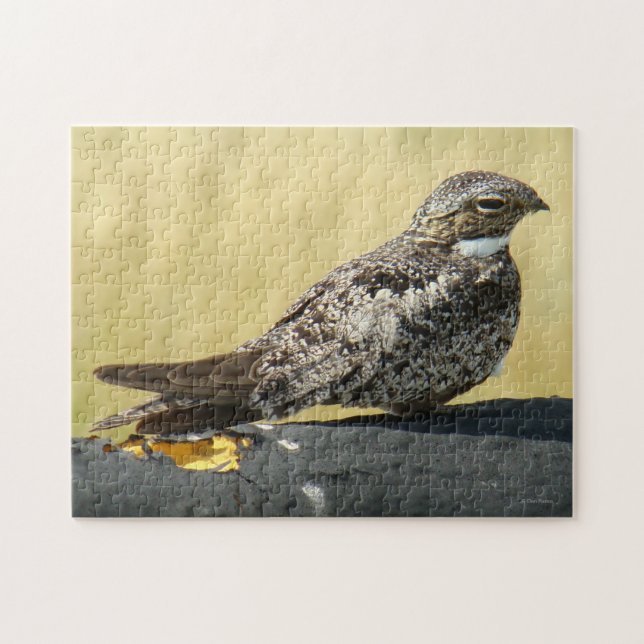 Puzzle Chordeiles minor (Horizontal)