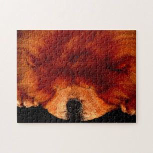 Puzzle Chow durmiente 11x14 252pc jpcna