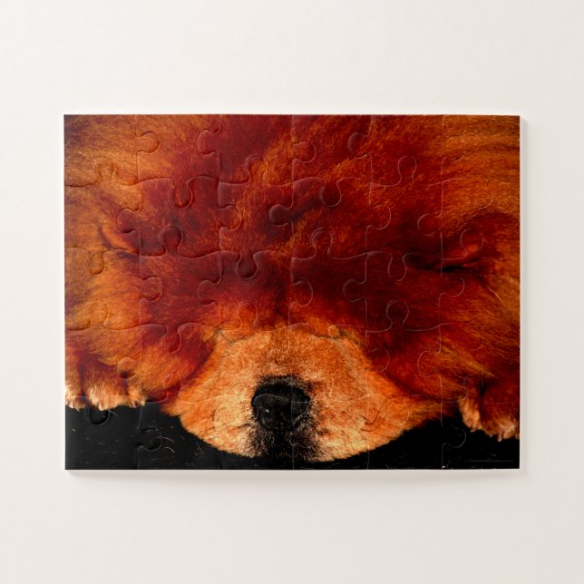 Puzzle Chow durmiente 11x14 30pc jpcna (Horizontal)