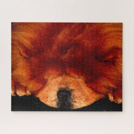 Puzzle Chow durmiente 16x20 520pc jpcnm